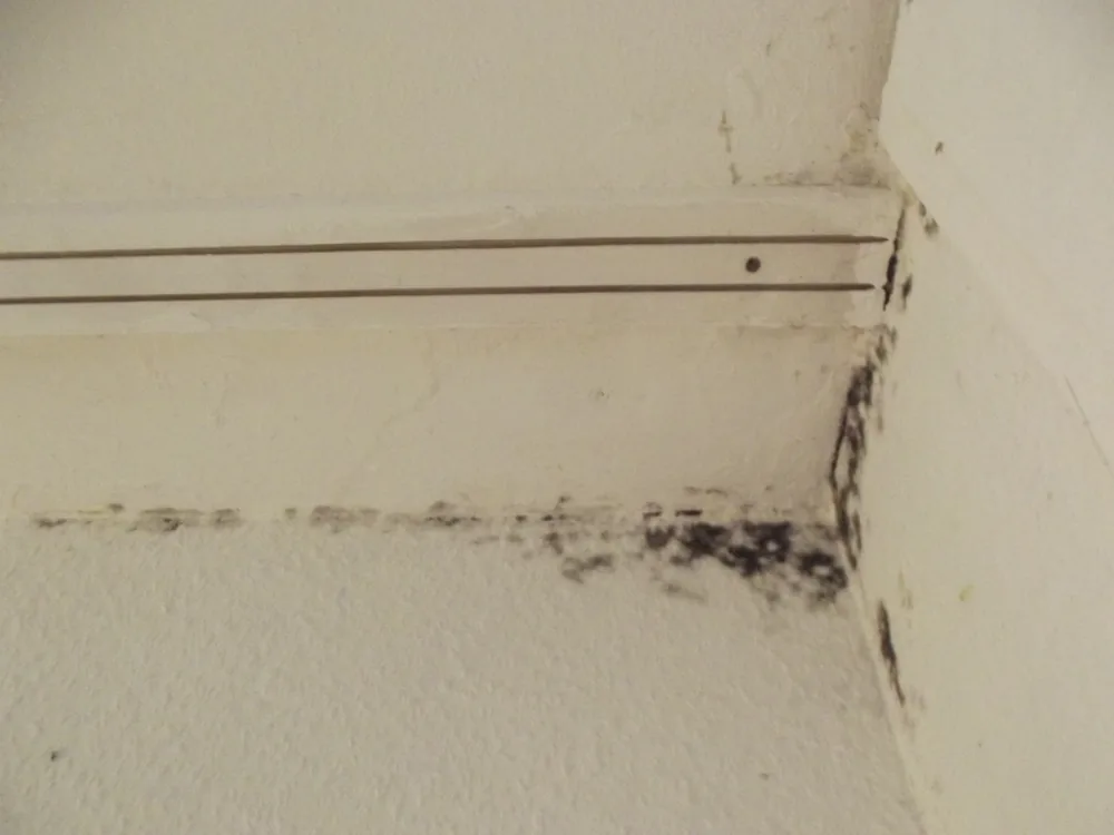 Technician in protective gear removing a mold-damaged wall in a Corona Del Mar home